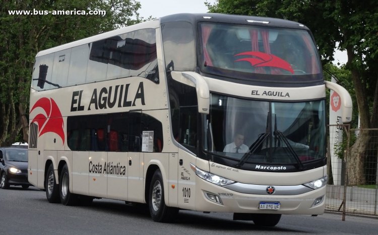 Volvo B450R - Marcopolo G7 Paradiso 1800 DD (en Argentina) - El Aguila
AA 890 UF
[url=https://bus-america.com/galeria/displayimage.php?pid=55449]https://bus-america.com/galeria/displayimage.php?pid=55449[/url]
[url=https://bus-america.com/galeria/displayimage.php?pid=55450]https://bus-america.com/galeria/displayimage.php?pid=55450[/url]

Línea 423 (Prov. Buenos Aires), interno 1010
