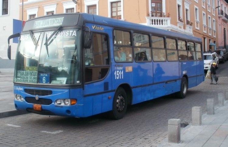 Marcopolo (En Ecuador) - Bus tipo Bella Vista
