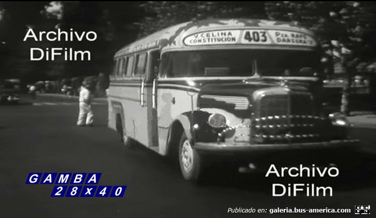 Mercedes-Benz L 312 - E.C.S.A. - Cooperativa Buenos Aires
Línea 403 (Luego 143) - Interno 4
Palabras clave: Gamba / 143
