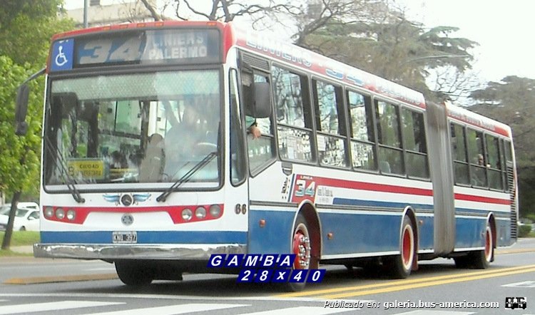 Mercedes-Benz O-500 UA - Metalpar Iguazú 2007 - Juan B. Justo
KNQ 397
[url=https://bus-america.com/galeria/displayimage.php?pid=55922]https://bus-america.com/galeria/displayimage.php?pid=55922[/url]
[url=https://bus-america.com/galeria/displayimage.php?pid=55923]https://bus-america.com/galeria/displayimage.php?pid=55923[/url]

Línea 34 (Buenos Aires), interno 66

Ya están en retirada, el interno 58 fue reemplazado por un coche "corto"

Fotografía: Gamba 28x40
Palabras clave: Gamba / 34