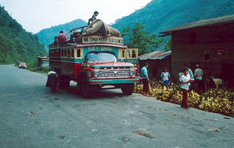 Ford - ?? - ¿Rey David? (En Perú)
Foto de Herbert Stocker, tomada de https://picasaweb.google.com
Palabras clave: perú