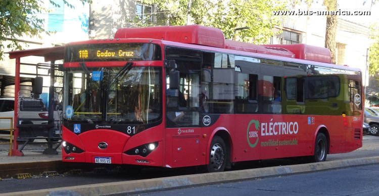 BYD K9 (en Argentina) - Mendotran , STM
AE 991 VS

Línea 110 (Mendotran, Prov.Mendoza), interno 81

