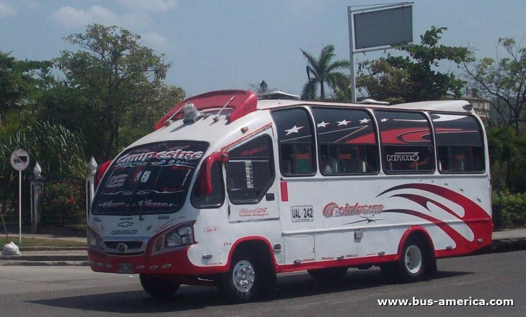 Chevrolet NPR - IMC - Coointracar
UAL-242

Ruta 37 "Campestre" (Cartagena), unidad 55
