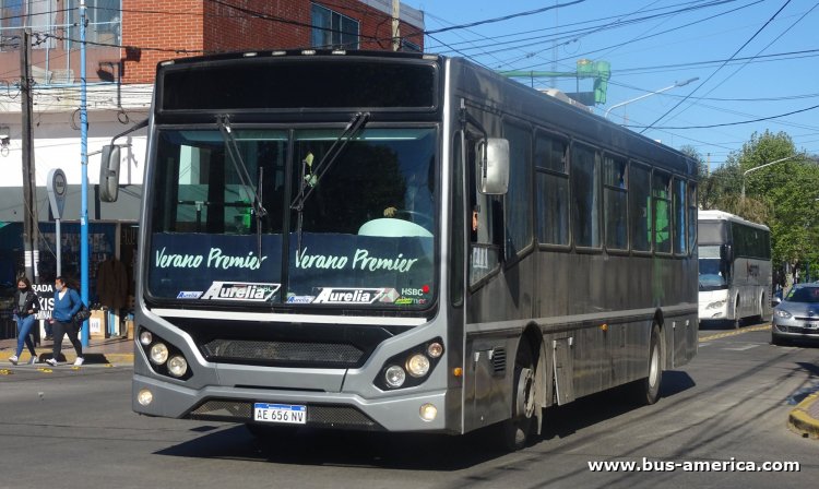 Iveco 170S28 - Gold Bus
AE 656 NV
