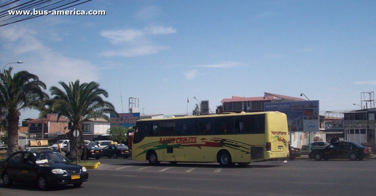 Mercedes-Benz O-400 RSE - Marcopolo (reformado en Chile) - Ramos Cholele
TS-49-36
[url=https://bus-america.com/galeria/displayimage.php?pid=69301]https://bus-america.com/galeria/displayimage.php?pid=69301[/url]
