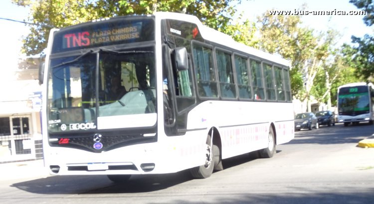 Mercedes-Benz OF 1621 - Nuovobus Cittá - Red Tulum , El Triunfo
AF 822 DV
[url=https://bus-america.com/galeria/displayimage.php?pid=61618]https://bus-america.com/galeria/displayimage.php?pid=61618[/url]

Línea TNS (Prov.San Juan), interno 105
