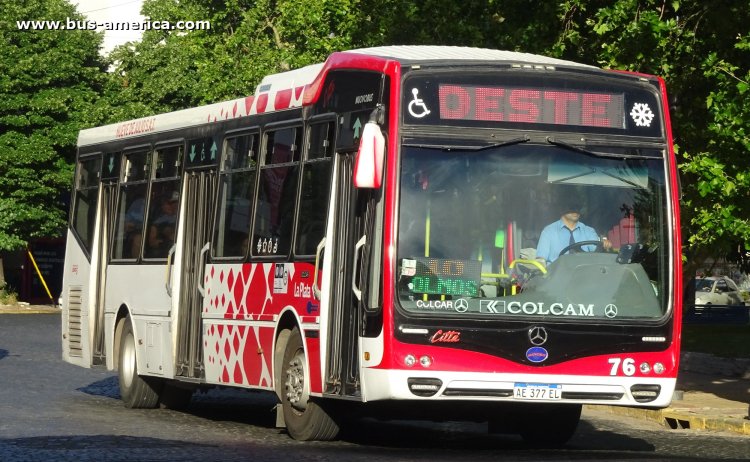 Mercedes-Benz O 500 U - Nuovobus Cittá PH0070 - Oeste , Nueve de Julio
AE 377 EL
[url=https://bus-america.com/galeria/displayimage.php?pid=56046]https://bus-america.com/galeria/displayimage.php?pid=56046[/url]
[url=https://bus-america.com/galeria/displayimage.php?pid=66754]https://bus-america.com/galeria/displayimage.php?pid=66754[/url]

Línea Oeste 10 (504 - Pdo. La Plata), interno 76
