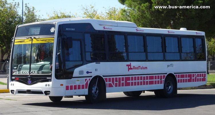 Mercedes-Benz OF 1621 - Nuovobus Cittá PH 71 - Red Tulum , Nuevo Sur
[url=https://bus-america.com/galeria/displayimage.php?pid=69088]https://bus-america.com/galeria/displayimage.php?pid=69088[/url]

Línea 262 (Prov.San Juan), interno 61

