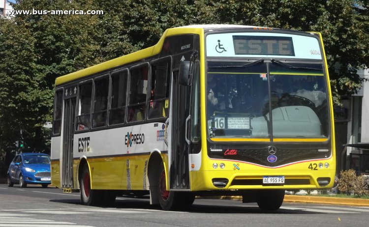 Mercedes-Benz OF 1621 - Nuovobus Cittá - Este , Expreso
AE 955 FQ

Línea Este 16 (503, Partido de La Plata), interno 42 (1484)
