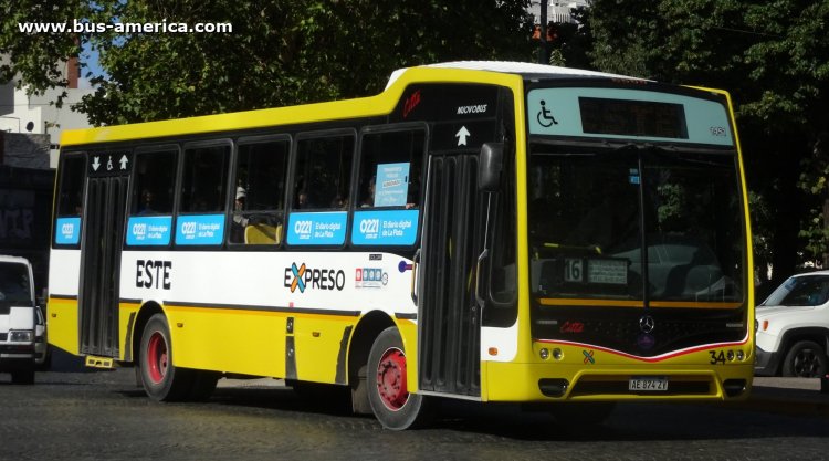 Mercedes-Benz OF 1621 - Nuovobus Cittá - Este , Expreso
AE 874 ZY

Línea Este 16 (503, Partido de La Plata), interno 34 (1451)
