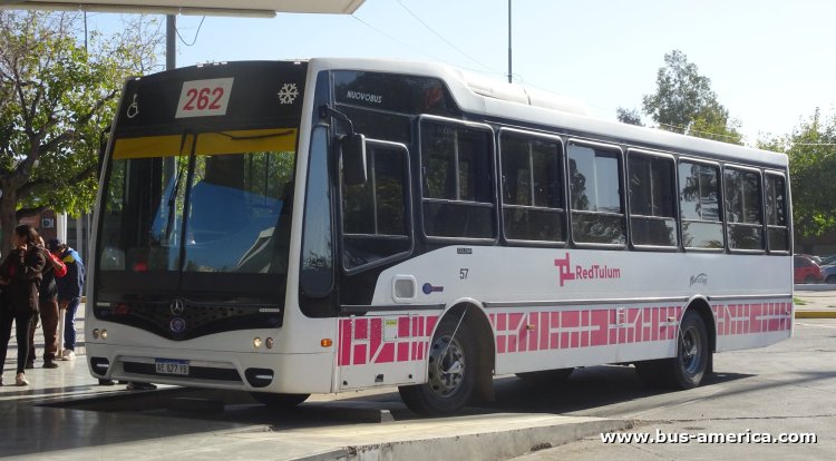 Mercedes-Benz OF 1621 - Nuovobus Cittá - Red Tulum , Nuevo Sur
AE 877 YB
[url=https://bus-america.com/galeria/displayimage.php?pid=61622]https://bus-america.com/galeria/displayimage.php?pid=61622[/url]

Línea 262 (Prov.San Juan), interno 57
