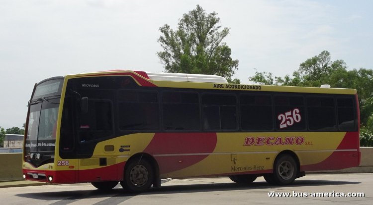 Mercedes-Benz OF 1621 - Nuovobus Cittá - Decano
AF 531 AI
[url=https://bus-america.com/galeria/displayimage.php?pid=67825]https://bus-america.com/galeria/displayimage.php?pid=67825[/url]

Decano (Prov.Sgo.del Estero), interno 256

Frecuencia entre 60 y 30 minutos, entre las 5:00/6:00 y 23:30/24:00 de lunes a viernes
