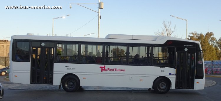 Mercedes-Benz OF 1621 - Nuovobus Cittá - Red Tulum , Alto de Sierra
[url=https://bus-america.com/galeria/displayimage.php?pid=61489]https://bus-america.com/galeria/displayimage.php?pid=61489[/url]

Línea D (Prov.San Juan), interno 39
