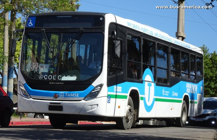 Mercedes-Benz OH 1721 L SB - Marcopolo New Torino - TAMSE
Línea 82 (Córdoba)
