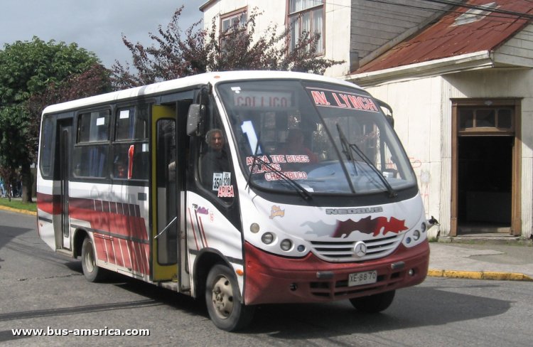 Mercedes-Benz LO 712 - Neobus Thunder + (en Chile) - Collico
XE-88-70

Línea 1 (Valdivia)
