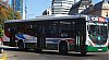 AGMT170LEeV-MarcopoloTorinoT-346_21a33-cf106i4527af041MH_1328-100622.JPG