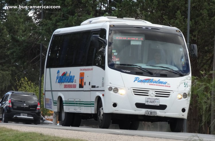 Mercedes-Benz LO 915 - Metalpar Maitén - Panaholma
PCN 488
[url=https://bus-america.com/galeria/displayimage.php?pid=41942]https://bus-america.com/galeria/displayimage.php?pid=41942[/url]

Panaholma (Prov. Córdoba), interno 50, patente provincial 3261

