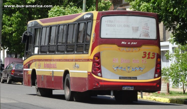 Mercedes-Benz OF 1621 - Metalpar Tronador Nueva Generación - M.O.Primera.Junta
AC 250 PP
[url=https://bus-america.com/galeria/displayimage.php?pid=67481]https://bus-america.com/galeria/displayimage.php?pid=67481[/url]

Línea 583 (Pdo. Quilmes), interno 313
