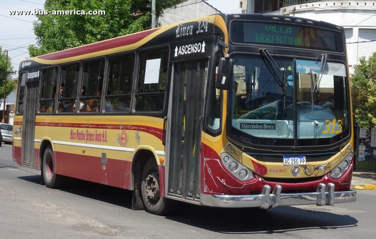 Mercedes-Benz OF 1621 - Metalpar Tronador Nueva Generación - M.O.Primera.Junta
AC 250 PP
[url=https://bus-america.com/galeria/displayimage.php?pid=67480]https://bus-america.com/galeria/displayimage.php?pid=67480[/url]

Línea 583 (Pdo. Quilmes), interno 313
