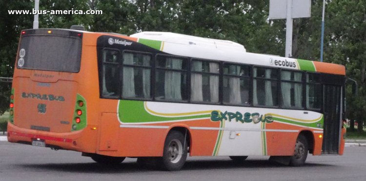 Mercedes-Benz OF 1721 - Metalpar Tronador Nueva Generación - Exprebus
AD 364 FX
[url=https://bus-america.com/galeria/displayimage.php?pid=64266]https://bus-america.com/galeria/displayimage.php?pid=64266[/url]

Exprebus (Prov.Tucumán), interno 156
