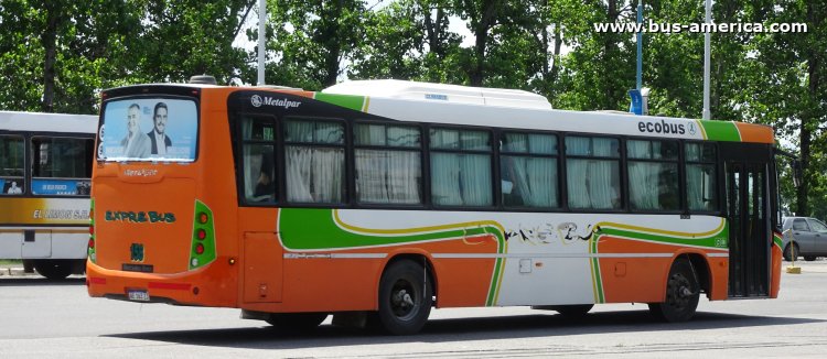 Mercedes-Benz OF 1721 - Metalpar Tronador Nueva Generación - Exprebus
AE 163 ZJ
[url=https://bus-america.com/galeria/displayimage.php?pid=64267]https://bus-america.com/galeria/displayimage.php?pid=64267[/url]

Exprebus (Prov.Tucumán), interno 158
