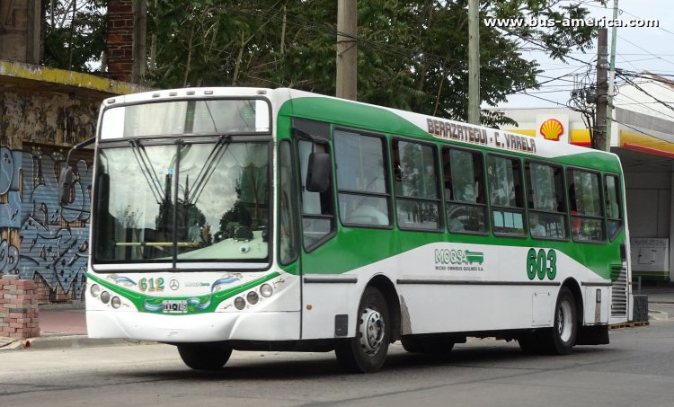 Mercedes-Benz OH 1618 L SB - Metalpar Iguazú 2010 - MOQSA
IXI 746
[url=https://bus-america.com/galeria/displayimage.php?pid=59459]https://bus-america.com/galeria/displayimage.php?pid=59459[/url]

Línea 603 (Pdo. Berazategui), interno 612
