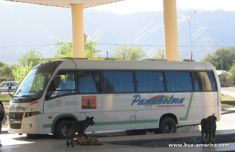 Volare W (en Argentina) - Panaholma
GAZ 483

Panaholma (Prov. San Luis), interno 9
