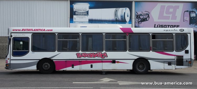 Mercedes-Benz O 500 U - Ugarte Europeo 2007  97 - Rutatlantica
OHV 986
[url=https://bus-america.com/galeria/displayimage.php?pid=68621]https://bus-america.com/galeria/displayimage.php?pid=68621[/url]

Rutatlantica, interno 1050
