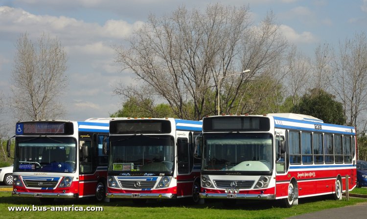 Mercedes-Benz OH 1718 L SB - Ugarte Europeo 2007 89 - TUM
LEG 280 [1º izquierda]
[url=https://bus-america.com/galeria/displayimage.php?pid=63487]https://bus-america.com/galeria/displayimage.php?pid=63487[/url]
[url=https://bus-america.com/galeria/displayimage.php?pid=63488]https://bus-america.com/galeria/displayimage.php?pid=63488[/url]
[url=https://bus-america.com/galeria/displayimage.php?pid=41718]https://bus-america.com/galeria/displayimage.php?pid=41718[/url]
[url=https://bus-america.com/galeria/displayimage.php?pid=64006]https://bus-america.com/galeria/displayimage.php?pid=64006[/url]
[url=https://bus-america.com/galeria/displayimage.php?pid=64007]https://bus-america.com/galeria/displayimage.php?pid=64007[/url]

Línea 238 (Prov. Buenos Aires), interno 276


KFH 317 [centro]
[url=https://bus-america.com/galeria/displayimage.php?pid=64003]https://bus-america.com/galeria/displayimage.php?pid=64003[/url]
Línea 238 (Prov. Buenos Aires), interno 236


NPP 777 [izquierda]
