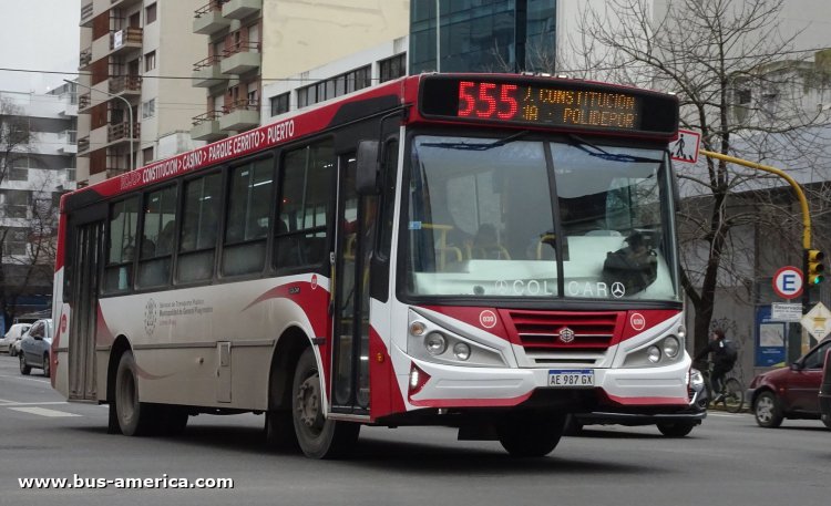 Mercedes-Benz OF 1621 - BiMet 2010 - Línea Roja , 25 de Mayo
AE 987 GX

Línea 555 (Mar del Plata), interno 030
