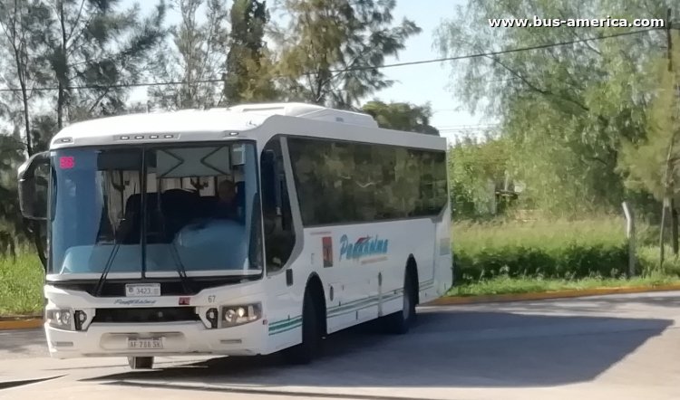 Iveco 170S28 - Italbus Bello - Panaholma
AF 788 SK
[url=https://bus-america.com/galeria/displayimage.php?pid=65311]https://bus-america.com/galeria/displayimage.php?pid=65311[/url]

Panaholma (Prov.Córdoba), interno 70, patente provincial 3423
