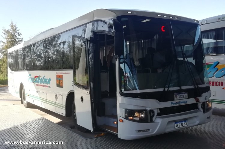 Iveco 170S28 - Italbus Bello - Panaholma
AF 788 SK
[url=https://bus-america.com/galeria/displayimage.php?pid=65312]https://bus-america.com/galeria/displayimage.php?pid=65312[/url]

Panaholma (Prov.Córdoba), interno 67, patente provincial 3423
