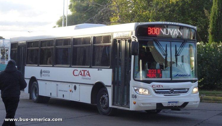 Mercedes-Benz OF 1621 - Italbus Bello - CATA
AF 341 ZY
[url=https://bus-america.com/galeria/displayimage.php?pid=63101]https://bus-america.com/galeria/displayimage.php?pid=63101[/url]

Línea 821 B (Prov. Mendoza), interno 836
