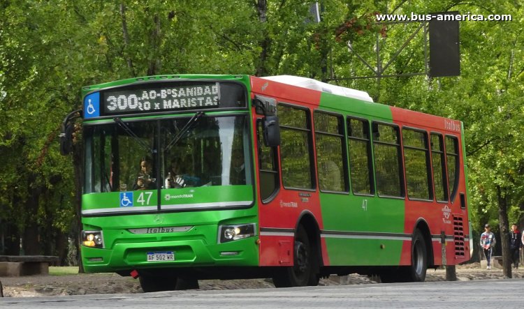 Mercedes-Benz OH 1621 L SB - Italbus Tropea Ital 89-20 - Mendotran , Los Andes & El Cacique UT
AF 502 WR

Línea 300 (Mendotran - Prov. Mendoza), interno 47
