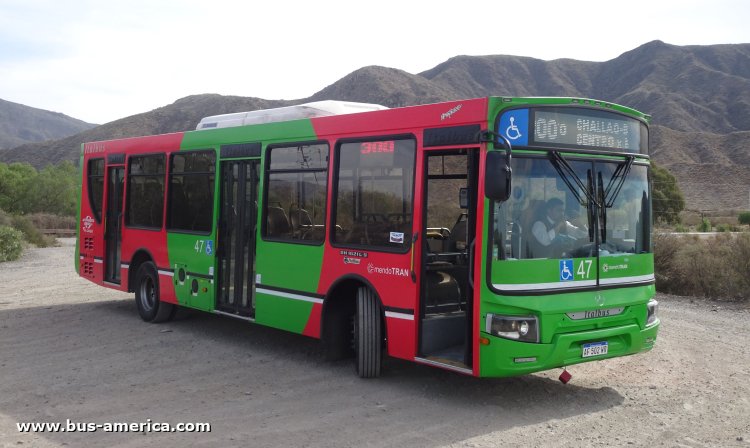 Mercedes-Benz OH 1621 L SB - Italbus Tropea Ital 89-20 - Mendotran , Los Andes & El Cacique UT
AF 502 WR
[url=https://bus-america.com/galeria/displayimage.php?pid=61336]https://bus-america.com/galeria/displayimage.php?pid=61336[/url]
[url=https://bus-america.com/galeria/displayimage.php?pid=61337]https://bus-america.com/galeria/displayimage.php?pid=61337[/url]
[url=https://bus-america.com/galeria/displayimage.php?pid=61338]https://bus-america.com/galeria/displayimage.php?pid=61338[/url]
[url=https://bus-america.com/galeria/displayimage.php?pid=61339]https://bus-america.com/galeria/displayimage.php?pid=61339[/url]
[url=https://bus-america.com/galeria/displayimage.php?pid=61340]https://bus-america.com/galeria/displayimage.php?pid=61340[/url]
[url=https://bus-america.com/galeria/displayimage.php?pid=61341]https://bus-america.com/galeria/displayimage.php?pid=61341[/url]

Línea 300 (Mendotran - Prov. Mendoza), interno 47

