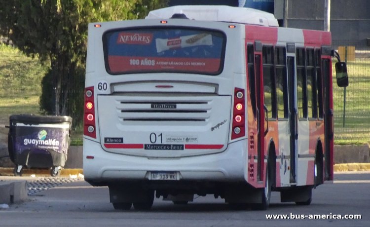Mercedes-Benz OH 1721 L SB - Italbus Tropea - Mendotran , Maipú
AF 113 VK
[url=https://bus-america.com/galeria/displayimage.php?pid=61586]https://bus-america.com/galeria/displayimage.php?pid=61586[/url]

Línea 252 (Mendotran, Prov.Mendoza), interno 01
