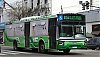 MatMTFBU1115LEp539eV-Italbus_22a31-cf15i91af164KOc_1257-160922.JPG