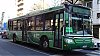TATSAPumaD12_15-ItalbusTropea_16a37-cf15i111aa786DDa_es030819.JPG