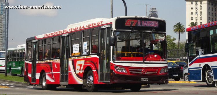 Mercedes-Benz O 500 U - La Favorita Favorito GR 92/2014 - Ttes.Del Tejar
OVY 775
[url=https://bus-america.com/galeria/displayimage.php?pid=64207]https://bus-america.com/galeria/displayimage.php?pid=64207[/url]

Línea 67 (Buenos Aires), interno 3
