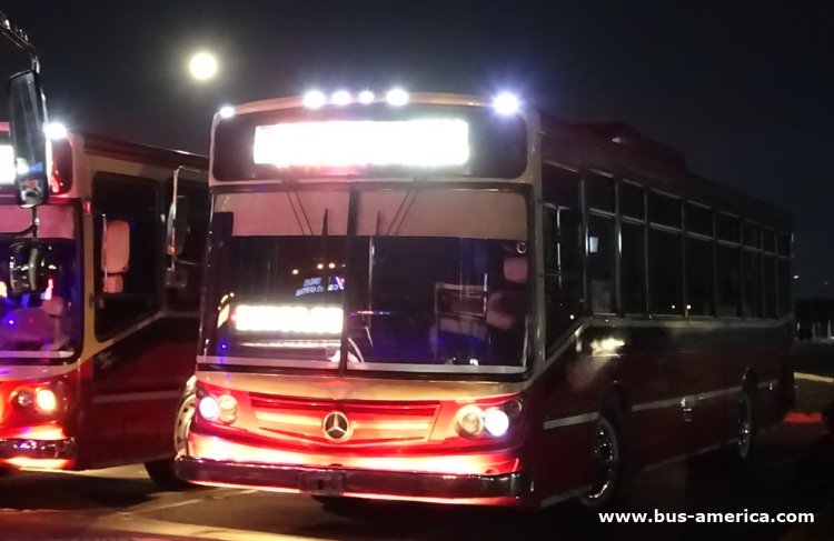 Mercedes-Benz OH 1618 L SB - La Favorita Favorito GR - Nueve de Julio
OOG 020
[url=https://bus-america.com/galeria/displayimage.php?pid=68262]https://bus-america.com/galeria/displayimage.php?pid=68262[/url]
[url=https://bus-america.com/galeria/displayimage.php?pid=46346]https://bus-america.com/galeria/displayimage.php?pid=46346[/url]
[url=https://bus-america.com/galeria/displayimage.php?pid=68645]https://bus-america.com/galeria/displayimage.php?pid=68645[/url]

Línea 109 (Buenos Aires), interno 36
Ex línea 68 (Buenos Aires), interno 67
