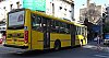 MBO500U-LFfavoritoGR_11ref16-rosariobus299kad493_0918.JPG