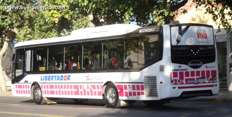 Mercedes-Benz O 500 U - Nuovobus Menghi Euro - Red Tulum , Libertador
AE 092 MV
[url=https://bus-america.com/galeria/displayimage.php?pid=61418]https://bus-america.com/galeria/displayimage.php?pid=61418[/url]

Línea A (Prov. San Juan), interno 05

