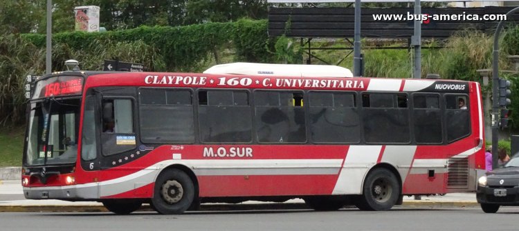Mercedes-Benz OH 1618 L SB - Nuovobus Menghi PH 0037 - M.O.Sur
NJC 221
[url=https://bus-america.com/galeria/displayimage.php?pid=29836]https://bus-america.com/galeria/displayimage.php?pid=29836[/url]
[url=https://bus-america.com/galeria/displayimage.php?pid=51985]https://bus-america.com/galeria/displayimage.php?pid=51985[/url]
[url=https://bus-america.com/galeria/displayimage.php?pid=51986]https://bus-america.com/galeria/displayimage.php?pid=51986[/url]

Línea 160 (Buenos Aires), interno 6
