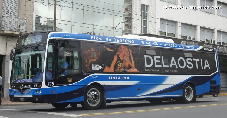 Mercedes-Benz OH 1718 L SB - Nuovobus Menghi PH 0022 - T.A.Callao
OLL 817
[url=https://bus-america.com/galeria/displayimage.php?pid=62853]https://bus-america.com/galeria/displayimage.php?pid=62853[/url]
[url=https://bus-america.com/galeria/displayimage.php?pid=62855]https://bus-america.com/galeria/displayimage.php?pid=62855[/url]

Línea 124 (Buenos Aires), interno 275
