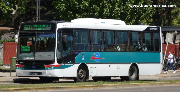 Volkswagen 15.190 OD - Nuovobus Menghi - La Primera de Malvinas Argentinas
AA 631 VZ

Línea 501 (Pdo. Malvinas Argentinas - con tránsito no habiltado al Pdo. San Miguel)
