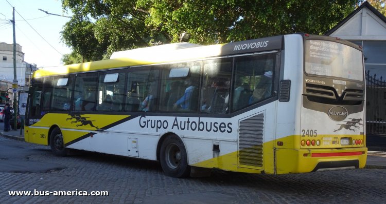 Volkswagen 18.280 OT LE - Nuovobus Menghi Euro - Grupo Autobuses
AC 981 NZ
[url=https://bus-america.com/galeria/displayimage.php?pid=56795]https://bus-america.com/galeria/displayimage.php?pid=56795[/url]

Línea 548 (Pdo. Lomas de Zamora), interno 2405
