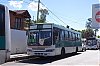 AgMA150-Nuovobus_13a32-pba449i159mwL763_1448-090326.JPG