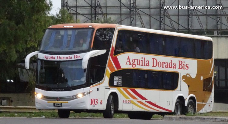 Mercedes-Benz O 500 - Marcopolo G7 Paradiso 1800 DD (en Argentina) - Aguila Dorada Bis
NTG 200
[url=https://bus-america.com/galeria/displayimage.php?pid=51109]https://bus-america.com/galeria/displayimage.php?pid=51109[/url]

Aguila Dorada, interno 103
