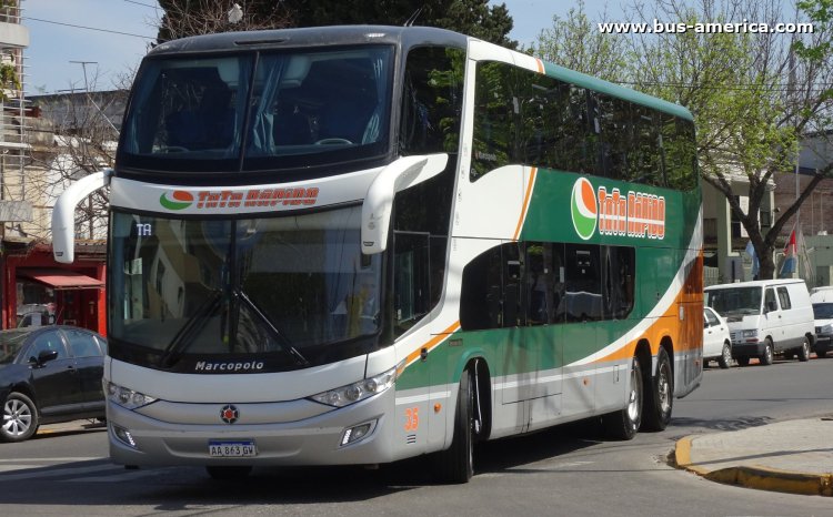 Mercedes-Benz O 500 RSD - Marcopolo G7 Paradiso 1800 DD (en Argentina) - TATA Rápido
AA 863 GW
[url=https://bus-america.com/galeria/displayimage.php?pid=61684]https://bus-america.com/galeria/displayimage.php?pid=61684[/url]
[url=https://bus-america.com/galeria/displayimage.php?pid=61686]https://bus-america.com/galeria/displayimage.php?pid=61686[/url]
[url=https://bus-america.com/galeria/displayimage.php?pid=61687]https://bus-america.com/galeria/displayimage.php?pid=61687[/url]
[url=https://bus-america.com/galeria/displayimage.php?pid=61688]https://bus-america.com/galeria/displayimage.php?pid=61688[/url]

C.P. 107 (Prov. Santa Fe), interno 35

