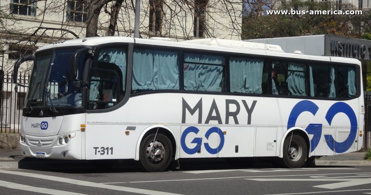 Agrale MT 13.0 LE - Saldivia Aries 2 A325 - Mary Go
AD 372 OL

Mary Go (Buenos Aires), interno T-311
